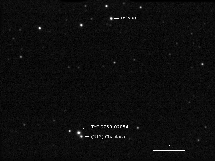 (313) Chaldaea, TYC 0730-02054-1 und Umgebungssterne