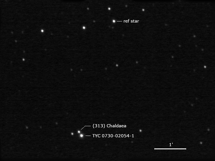 (313) Chaldaea, TYC 0730-02054-1 und Umgebungssterne