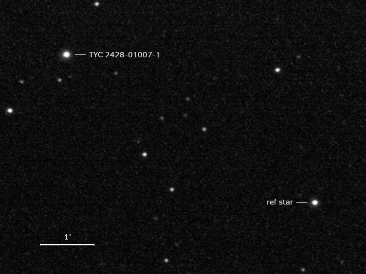 TYC 2428-01007-1 und Umgebungssterne