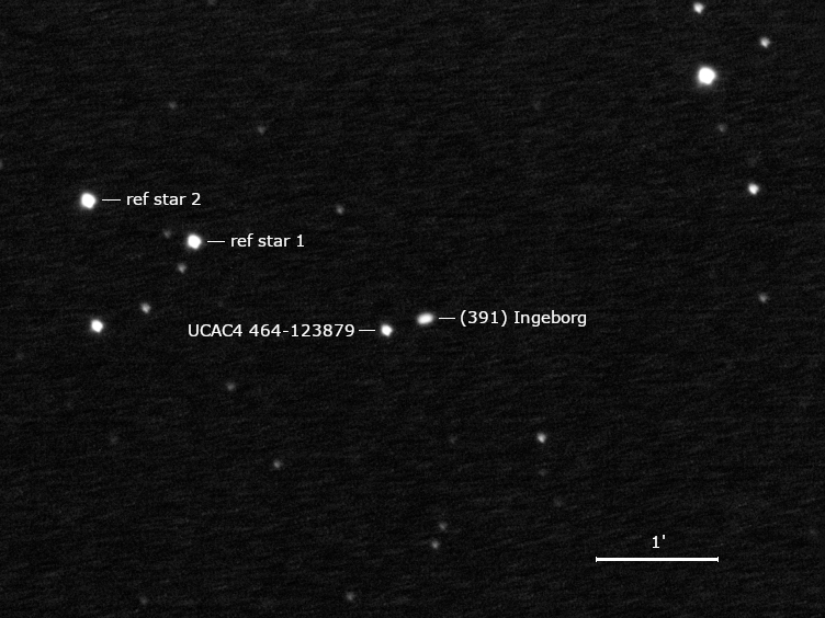 (391) Ingeborg, UCAC4 464-123879 und Umgebungssterne