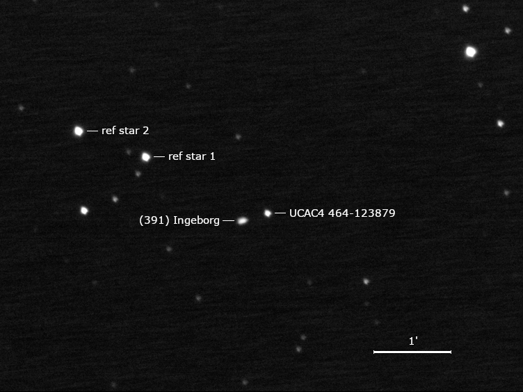 (391) Ingeborg, UCAC4 464-123879 und Umgebungssterne