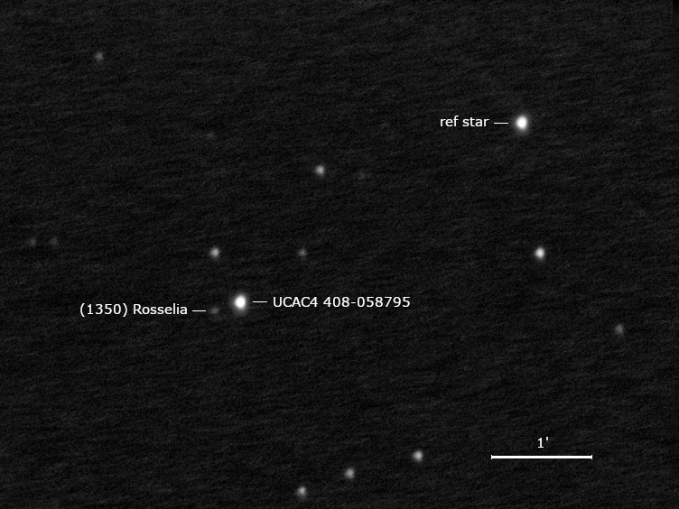 (1350) Rosselia, UCAC4 408-058795 und Umgebungssterne