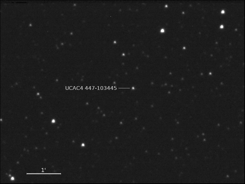 UCAC4 447-103445 und Umgebungssterne