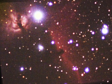 Flammen- und Pferdekopfnebel NGC2024, IC434
