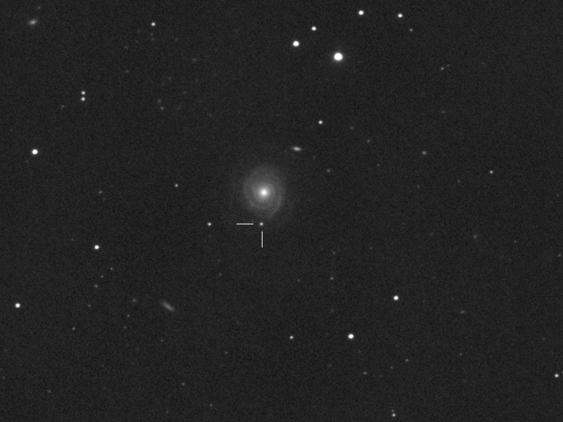 Supernova 2017gww in NGC 7816 in Psc