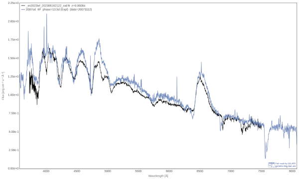 Identification of supernova 2023ixf 2023-06-16, best matching plot