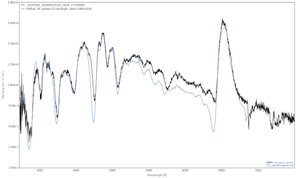 Identification of supernova 2023ixf 2023-06-24, best matching plot