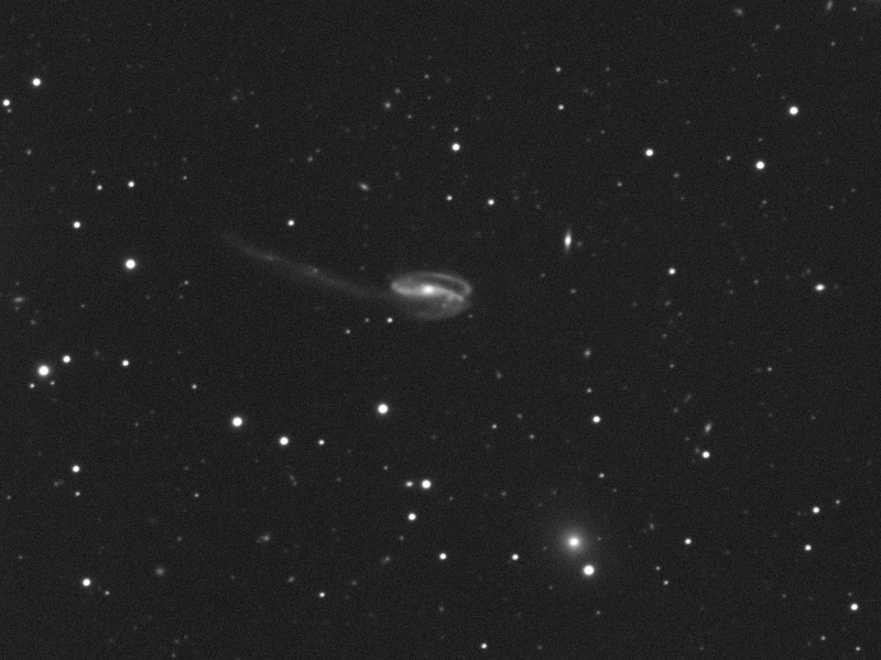 Galaxie UGC 10214 in Dra (Tadpole galaxy)