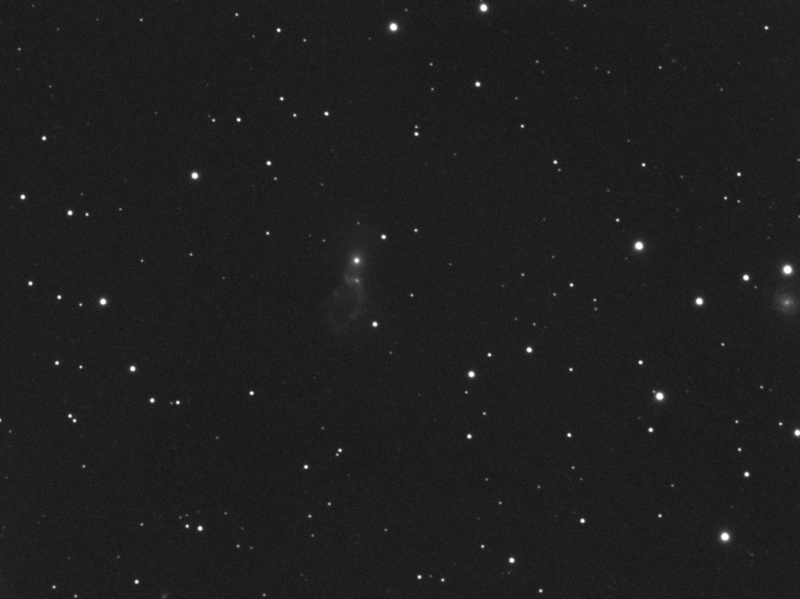 Wechselwirkende Galaxien Arp 141 (UGC 3730) im Cam