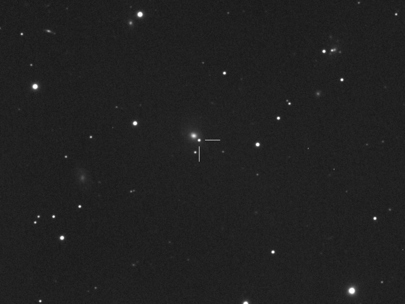 Supernova ASASSN-15qc in UGC402