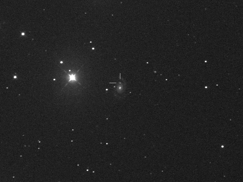 Supernova 2019uo in UGC 7020 in UMa